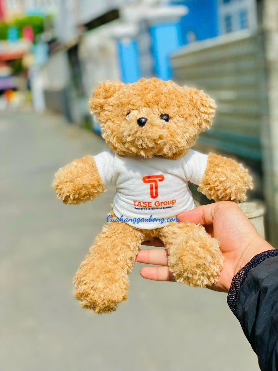 Cửa hàng gấu bông sản xuất 300 bé gấu bông theo yêu cầu của TASE Group   